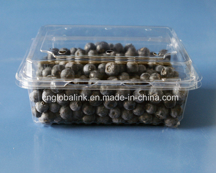 Best-Selling Plastic Packaging Box for 500g Strawberries and Blueberries