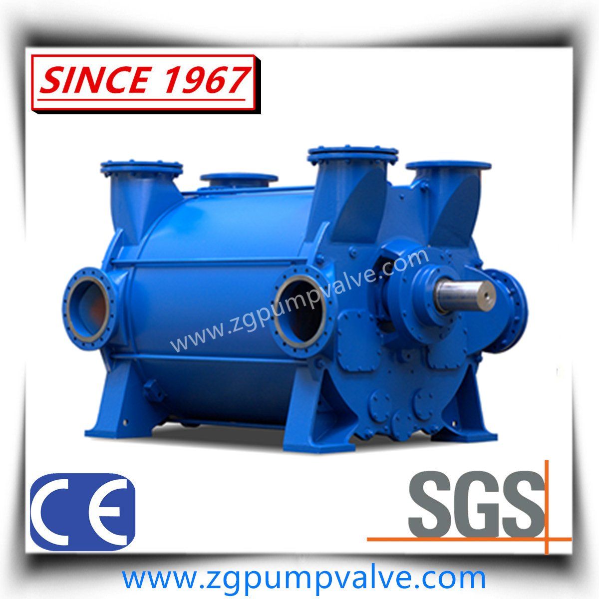 Chemical Liquid Ring Vacuum Pump for Gas Transfer/Capture – Available in Cast Iron