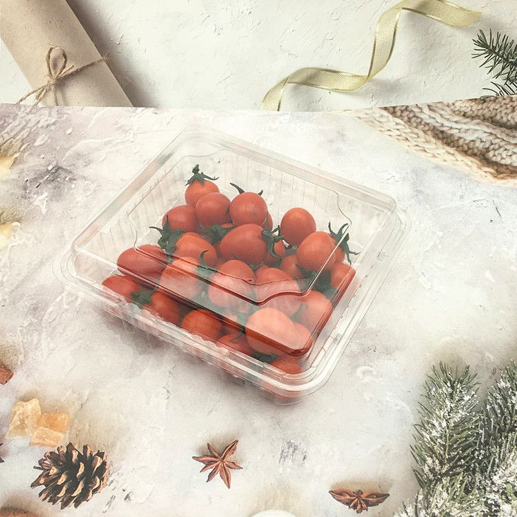 Clamshell Packaging for Fruit Blisters
